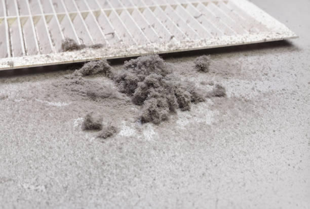 Best Affordable Air Duct Cleaning  in Milton, LA