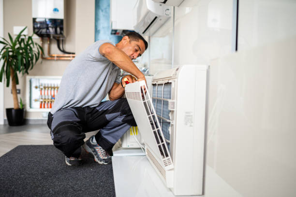 Best Air Duct Mold Removal  in Milton, LA