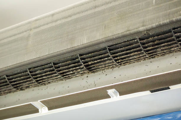 Best Best Air Duct Cleaning Company  in Milton, LA