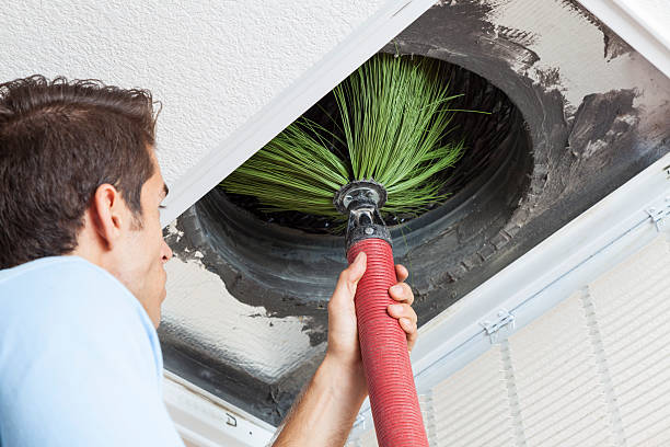 Air Duct Mold Removal in Milton, LA
